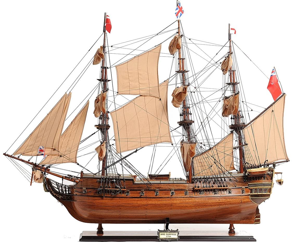 T357 HMS Surprise Medium