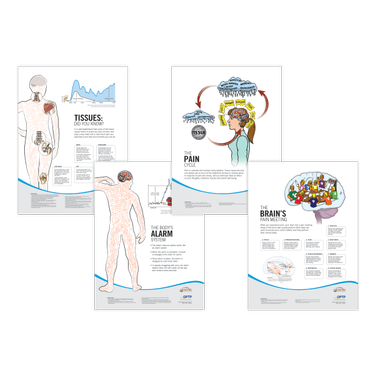Picture of OPTP 876SET Pain Neuroscience Posters, Set of 4