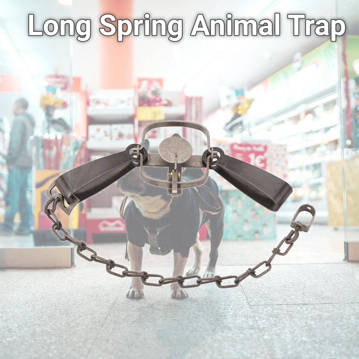 Picture of Duke Pecan 6004394 Long Spring Animal Trap