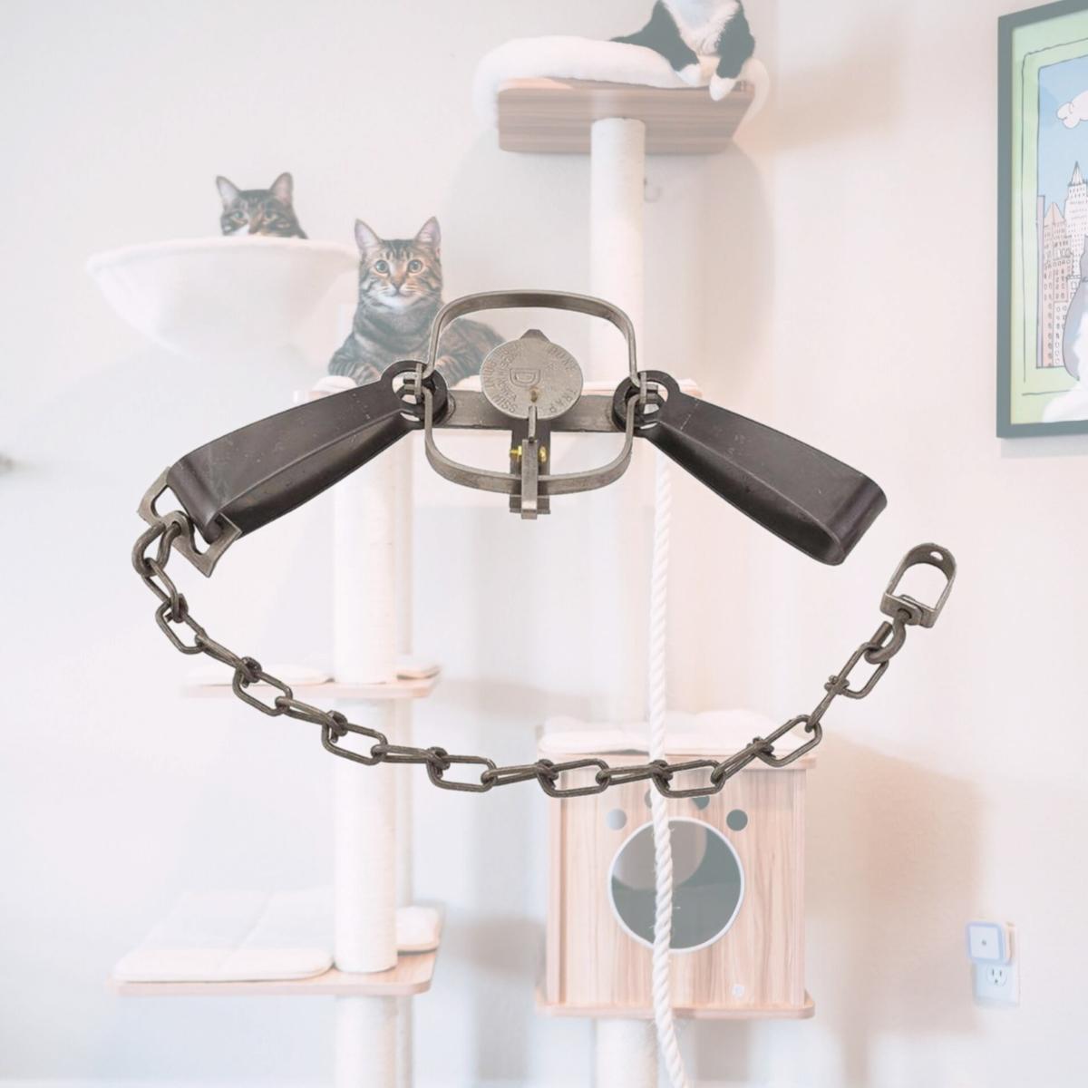 Picture of Duke Pecan 6004394 Long Spring Animal Trap