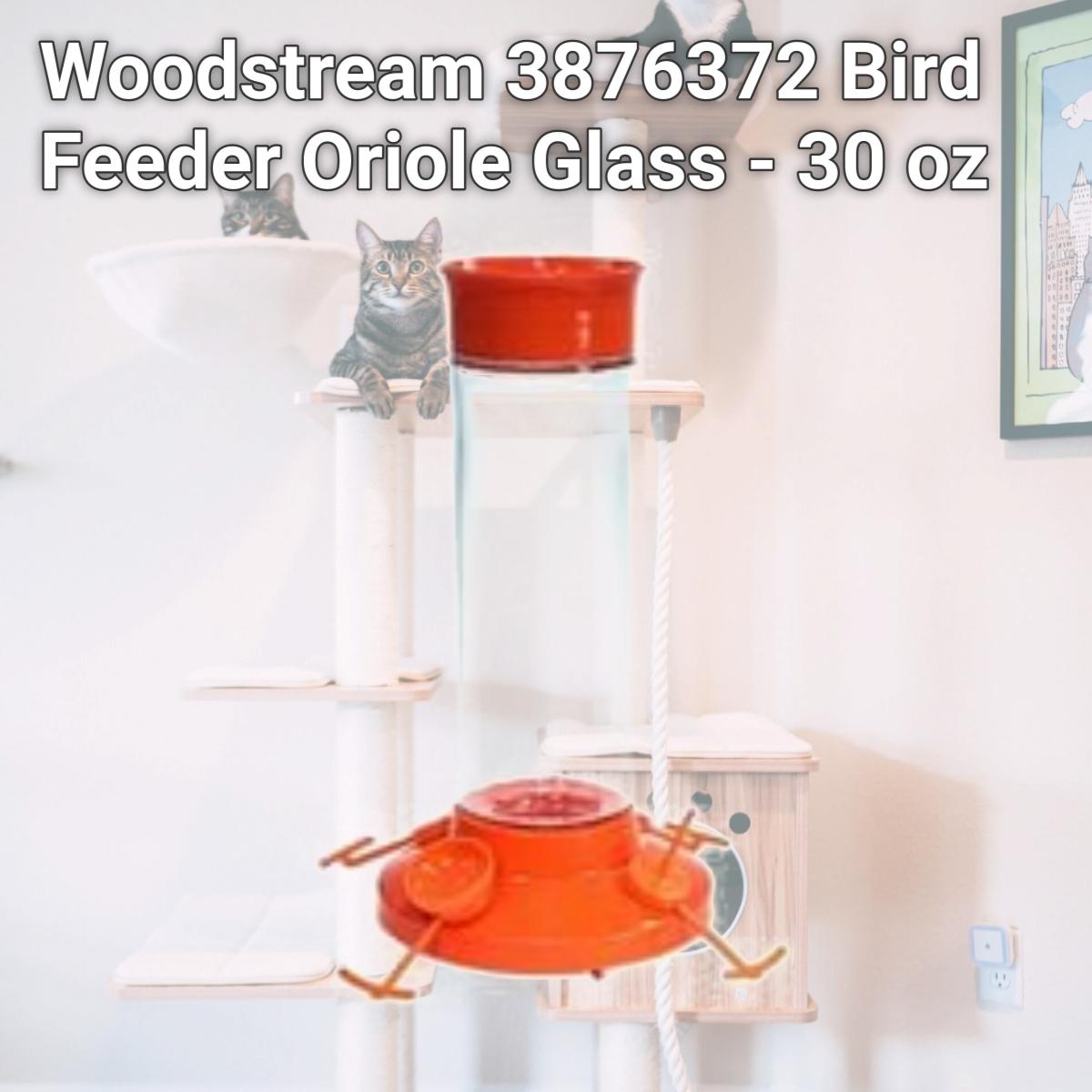 Picture of Woodstream 3876372 Bird Feeder Oriole Glass - 30 oz