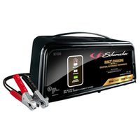 6A Auto Battery Charger