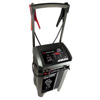 225-50-6-2A 6 &12V Electric Battery Charger Wheel