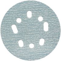 5 in. 100 Grit H-L Sanding Disc
