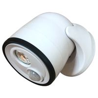 Security Light, LED Lamp, 400 Lumens, White Fixture