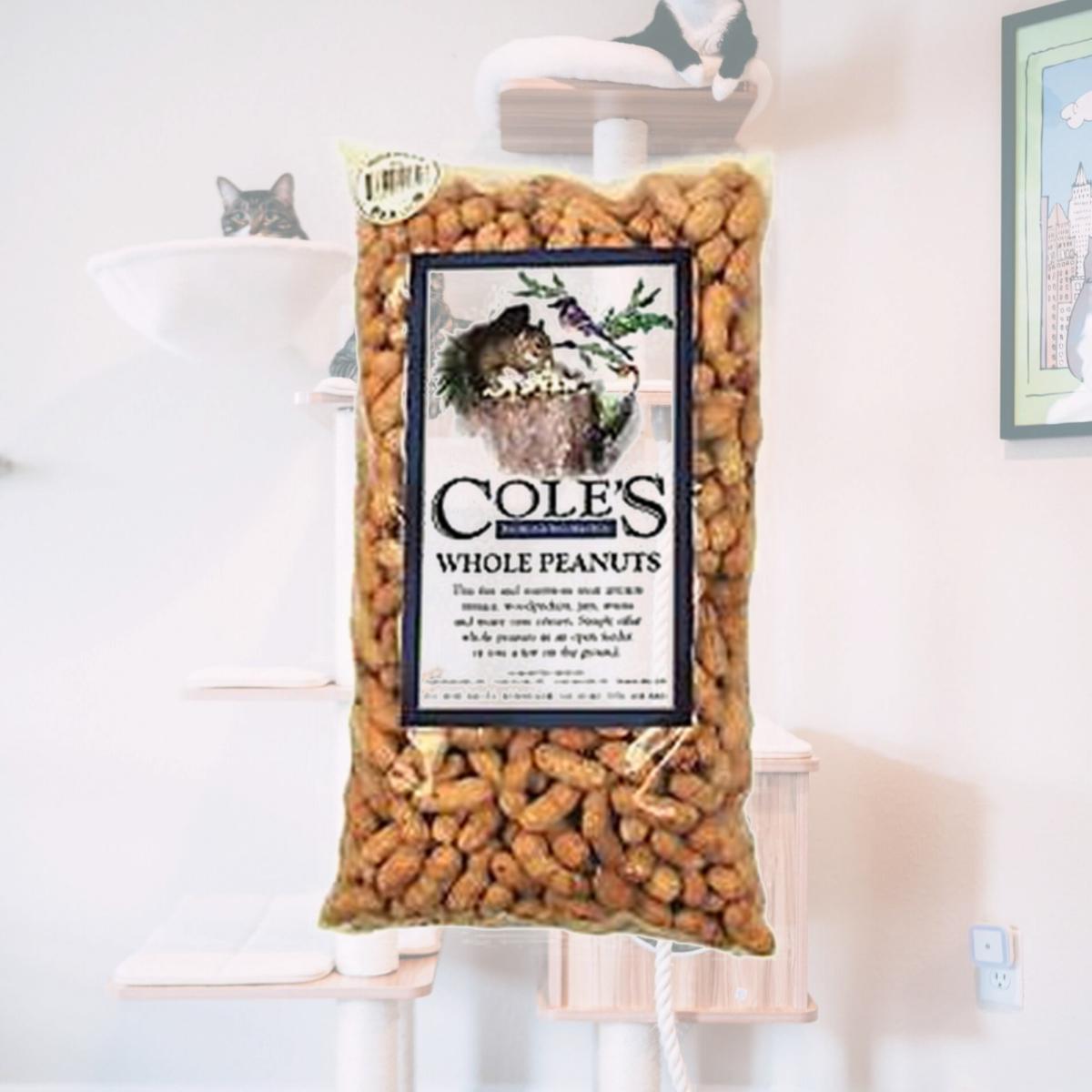 Picture of Coles Wild Bird Product 2968196 WP2.5 Whole Peanut Bird Seed