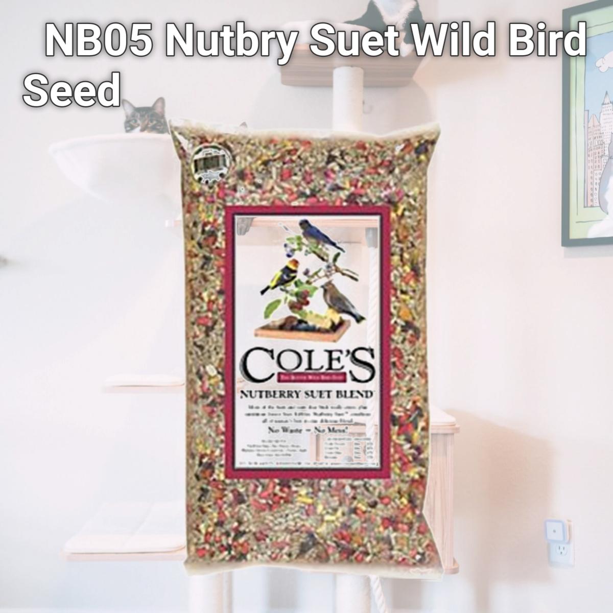 Picture of Coles Wild Bird Product 2967818 NB05 Nutbry Suet Wild Bird Seed