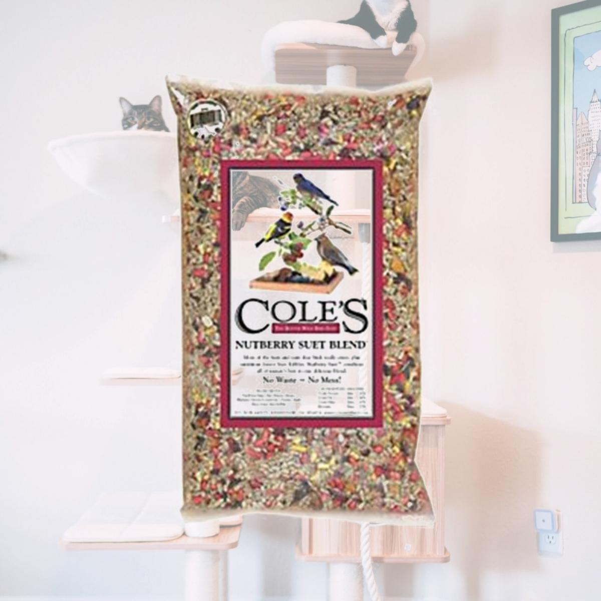 Picture of Coles Wild Bird Product 2967818 NB05 Nutbry Suet Wild Bird Seed