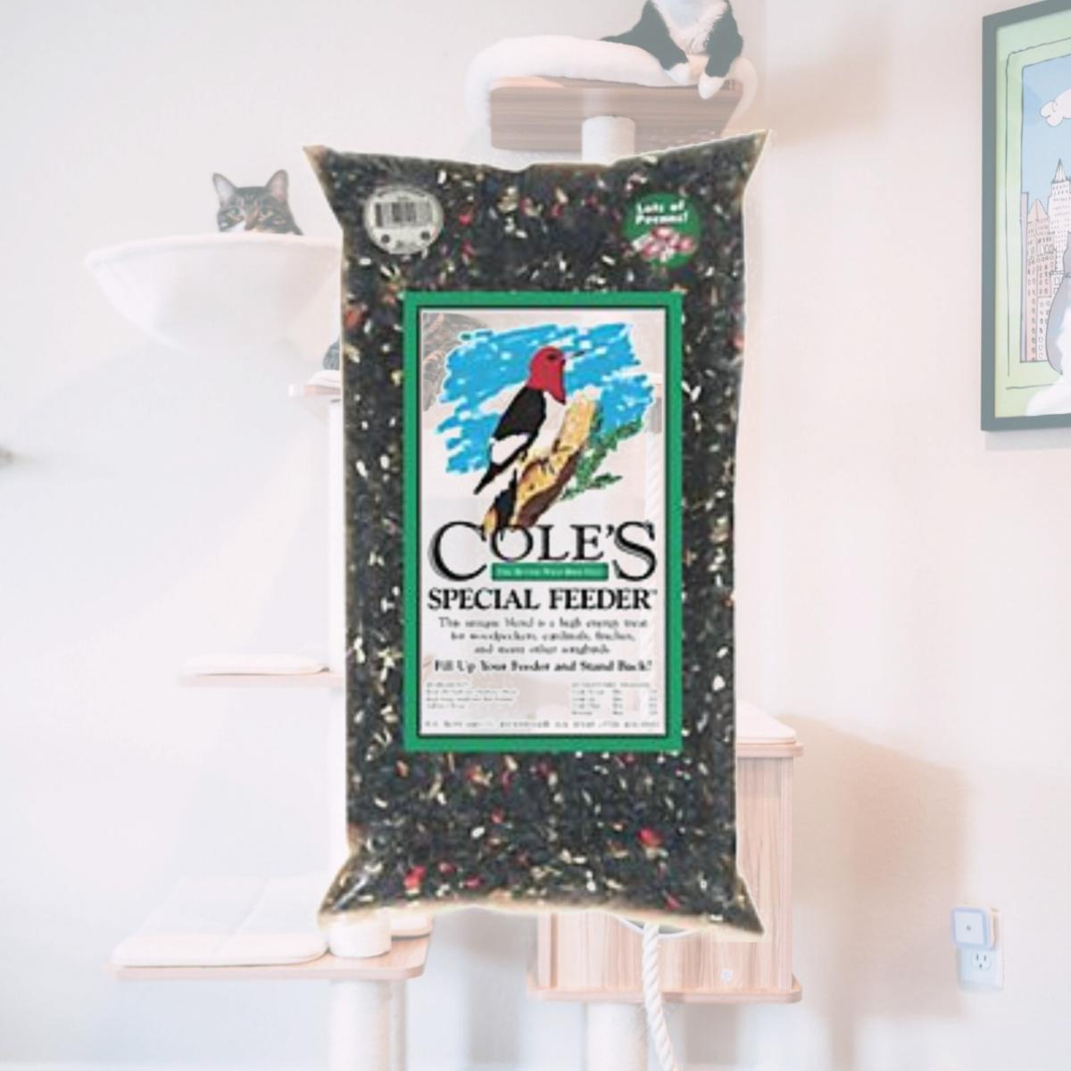 Picture of Coles Wild Bird Product 2967644 SF10 Special Wild Bird Seed Feeder