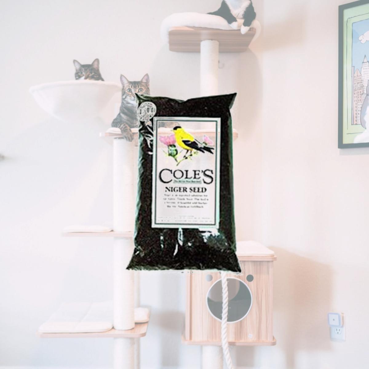 Picture of Coles Wild Bird Product 2968048 NI10 Niger Bird Seed