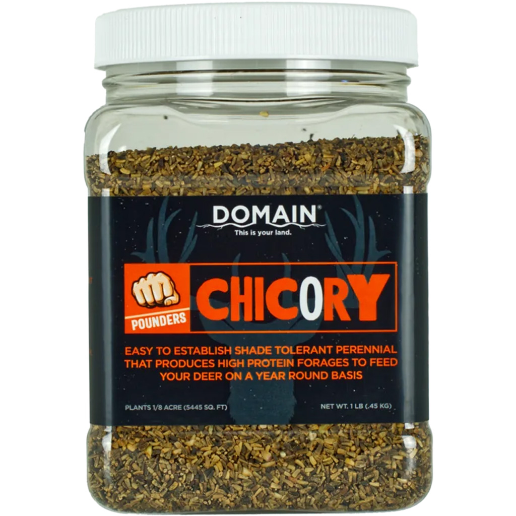 1102359 1 lbs 0.125 Acre Chicory Pounder Seed, Black