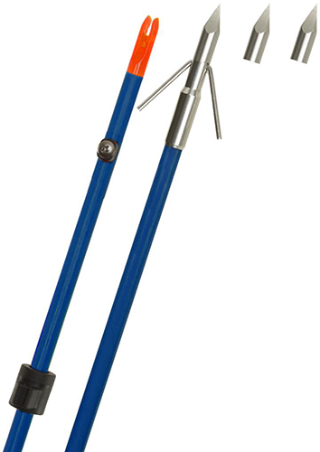 Raider Pro Arrow with Bighead Point, Blue