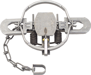26746 No.1.75 Silver Duke Coil Spring Trap Offset Jaw