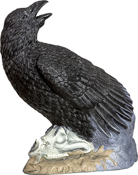 85135 Raven Target Face