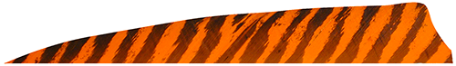 Gateway Feather 76621 4 in. Shield Cut Right Wing Feathers, Barred Orange - Pack of 100