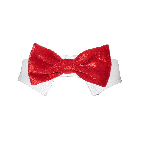 Picture of Pooch Outfitters PVBR-M Valentino Bow Tie&#44; Red - Medium