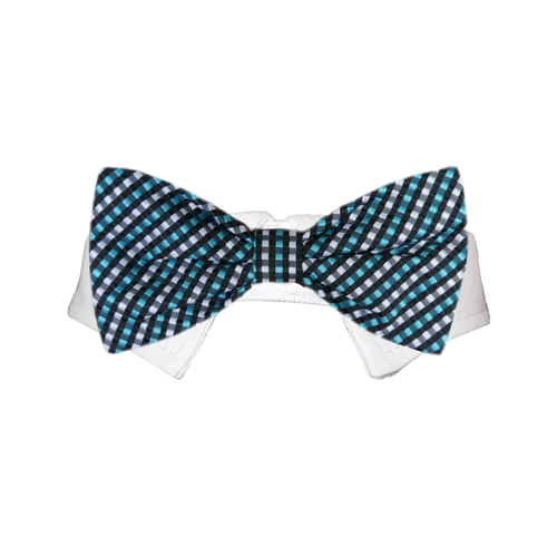Picture of Pooch Outfitters PALB-XL Alex Bow Tie&#44; Blue - Extra Large