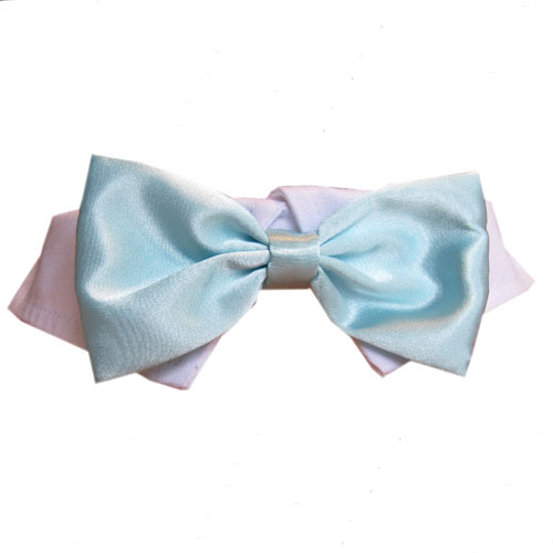 Picture of Pooch Outfitters PQBT-M Aqua Satin Bow Tie&#44; Aqua - Medium