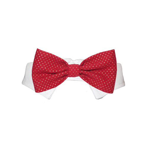 Picture of Pooch Outfitters PCBB-M Christian Bow Tie&#44; Red - Medium