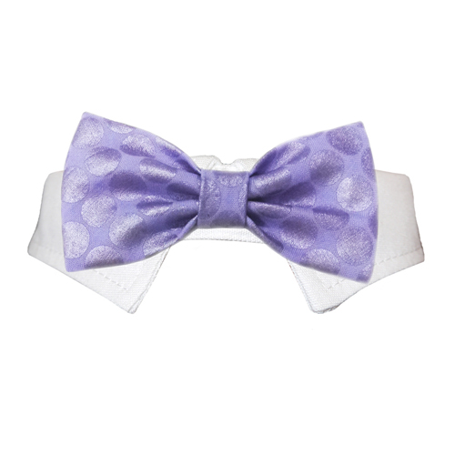 Picture of Pooch Outfitters PDBT-M Dylan Bow Tie&#44; Purple - Medium