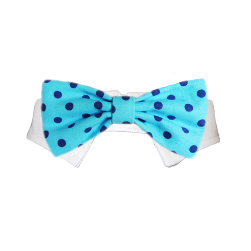 Picture of Pooch Outfitters PEBB-XS Easton Bow Tie&#44; Blue - Extra Small