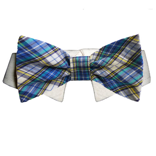 Picture of Pooch Outfitters PIBT-XS Issac Bow Tie&#44; Blue - Extra Small