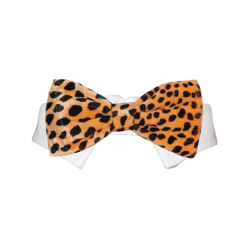 Picture of Pooch Outfitters PRBO-3XL Roberto Bow Tie&#44; Orange - 3XS