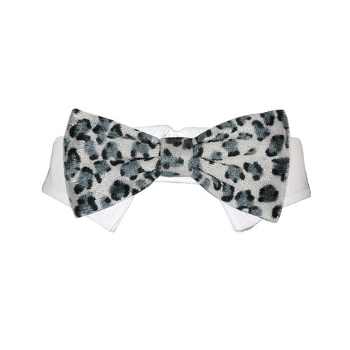 Picture of Pooch Outfitters PRBW-XS Roberto Bow Tie&#44; White - Extra Small