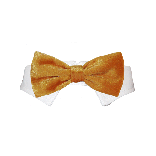 Picture of Pooch Outfitters PVBG-XS Valentino Bow Tie&#44; Gold - Extra Small