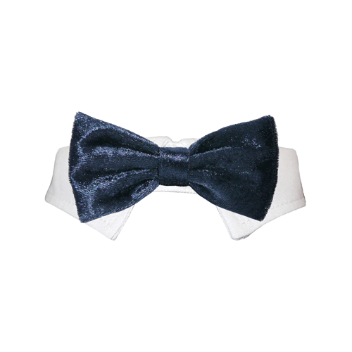 Picture of Pooch Outfitters PVBN-XS Valentino Bow Tie&#44; Navy Blue - Extra Small