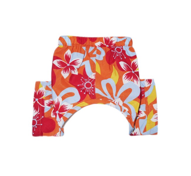 Picture of Pooch Outfitters PTST-XS Tasmania Dog Swim Trunk - Extra Small