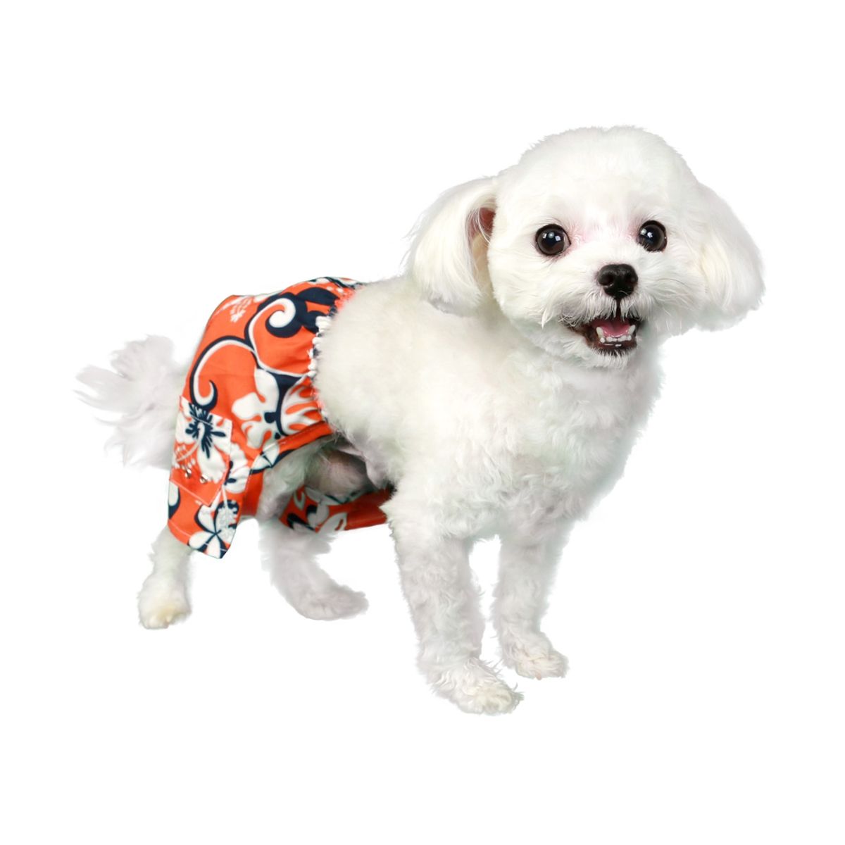 Picture of Pooch Outfitters PCYS-XXS Cayman Swim Trunk&#44; Orange - 2XS