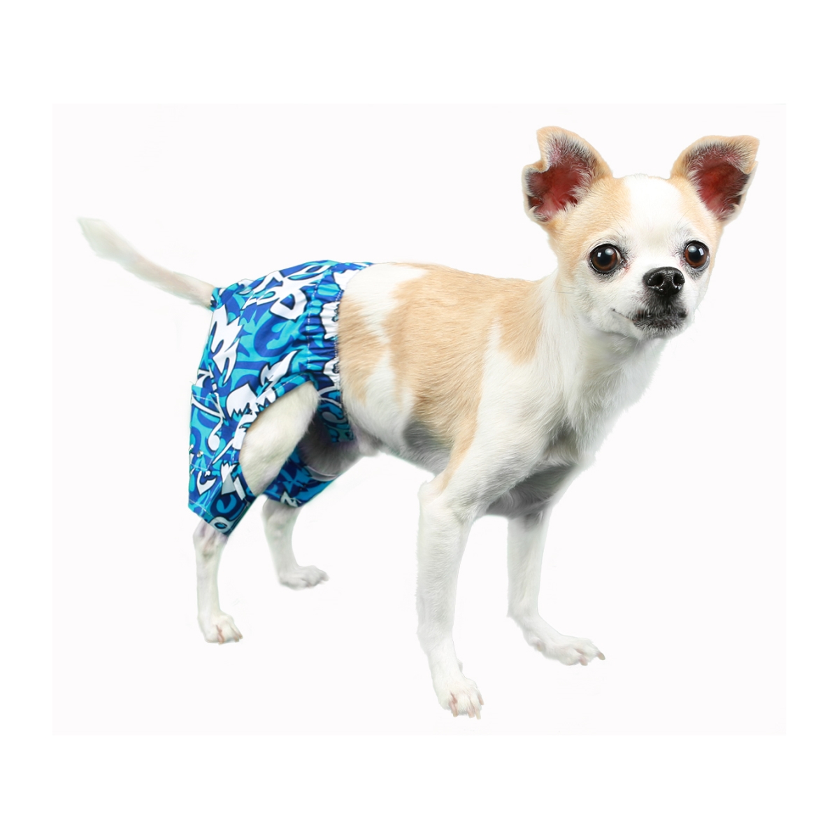 Picture of Pooch Outfitters PMST-XXS Malibu Swim Trunk&#44; Blue - 2XS