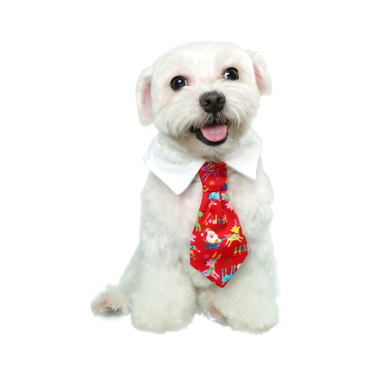 Picture of Pooch Outfitters PRUD-XS Rudolph Shirt Collar&#44; Red - Extra Small