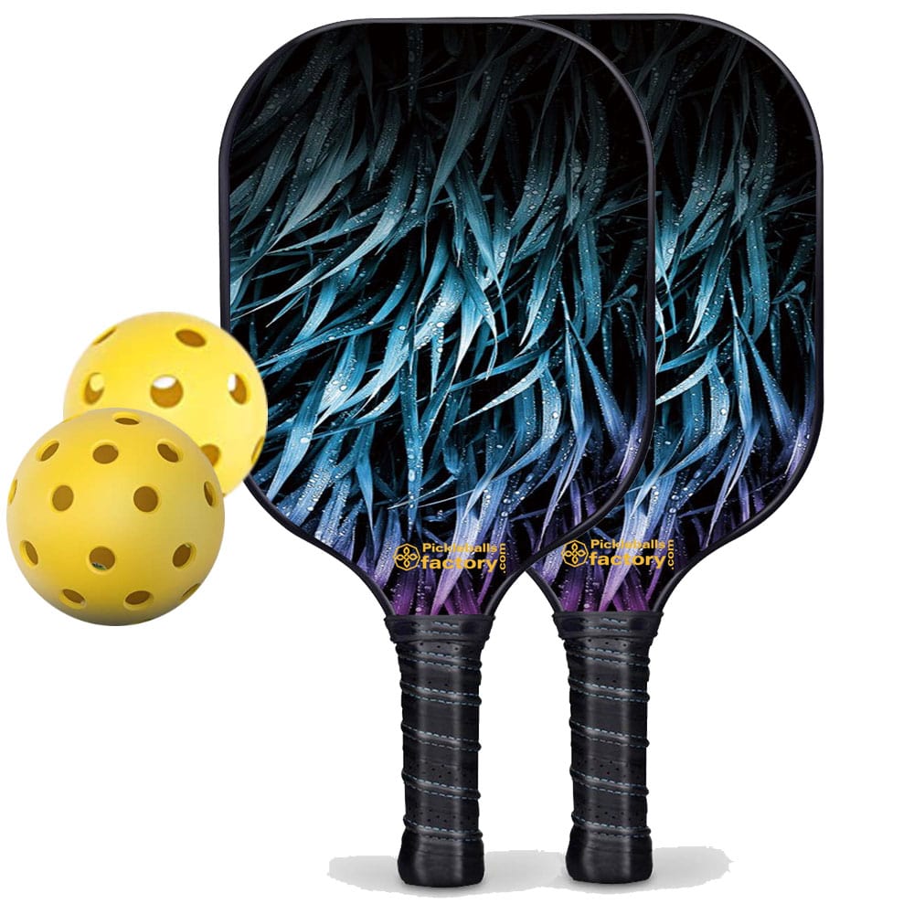 Pickleball Starter Set - Leaves Pickleball Paddles, Portable Picklenet, Carbonfiber Graphite