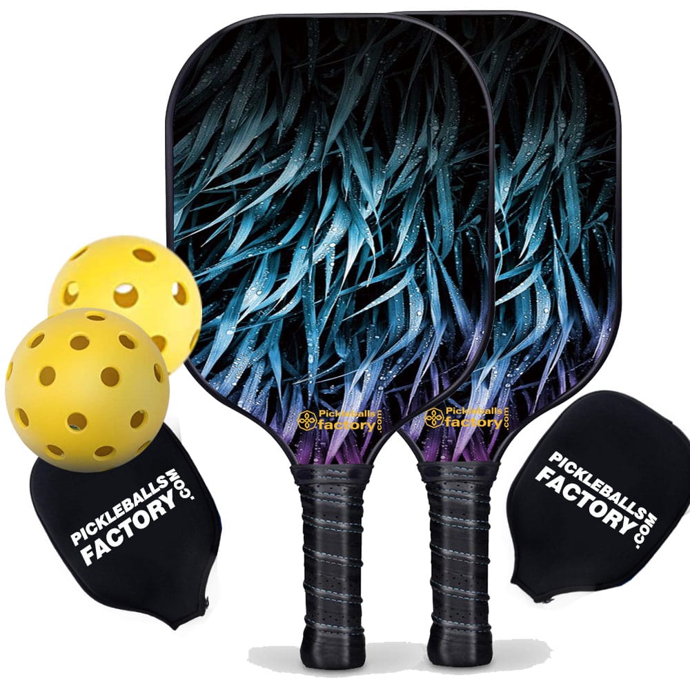 Pickleball Starter Set - Leaves Pickleball Paddles, Portable Picklenet, Carbonfiber Graphite
