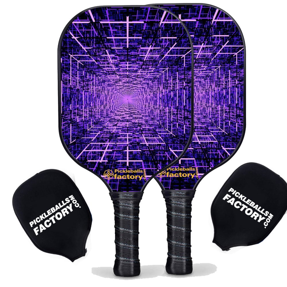 Best Pickleball Set - Data Grid Pickleball Paddles, Pickleball Paddle & Ball Set, Glassfiber Graphite