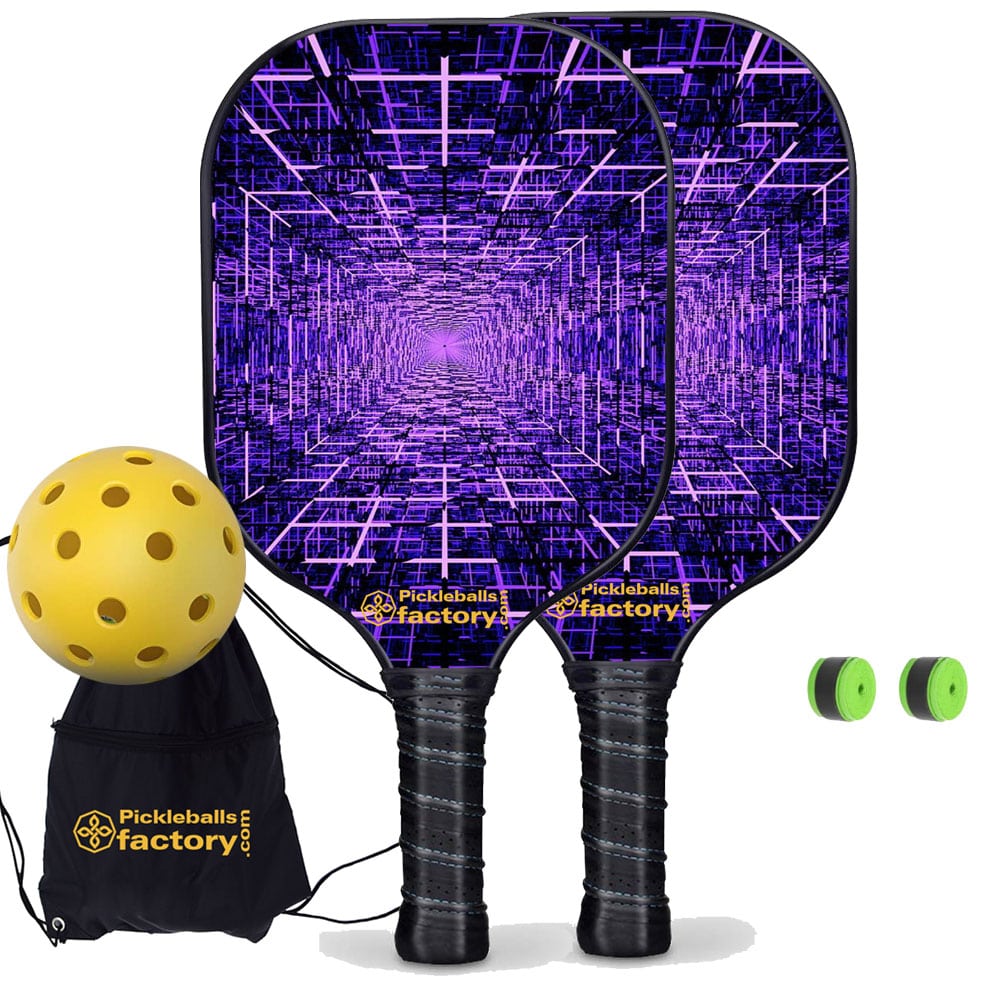 Best Pickleball Set - Data Grid Pickleball Paddles, Pickleball Paddle & Ball Set, Glassfiber Graphite