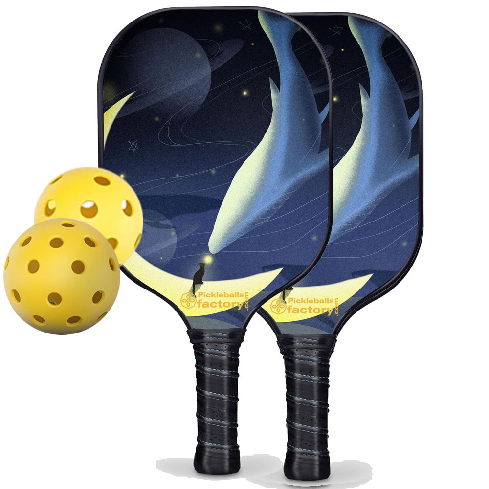PB00015-2-C Pickleball Set - Whale Fall Best Pickleball Paddle, Portable Pickleball Net Amazon, Carbonfiber Graphite