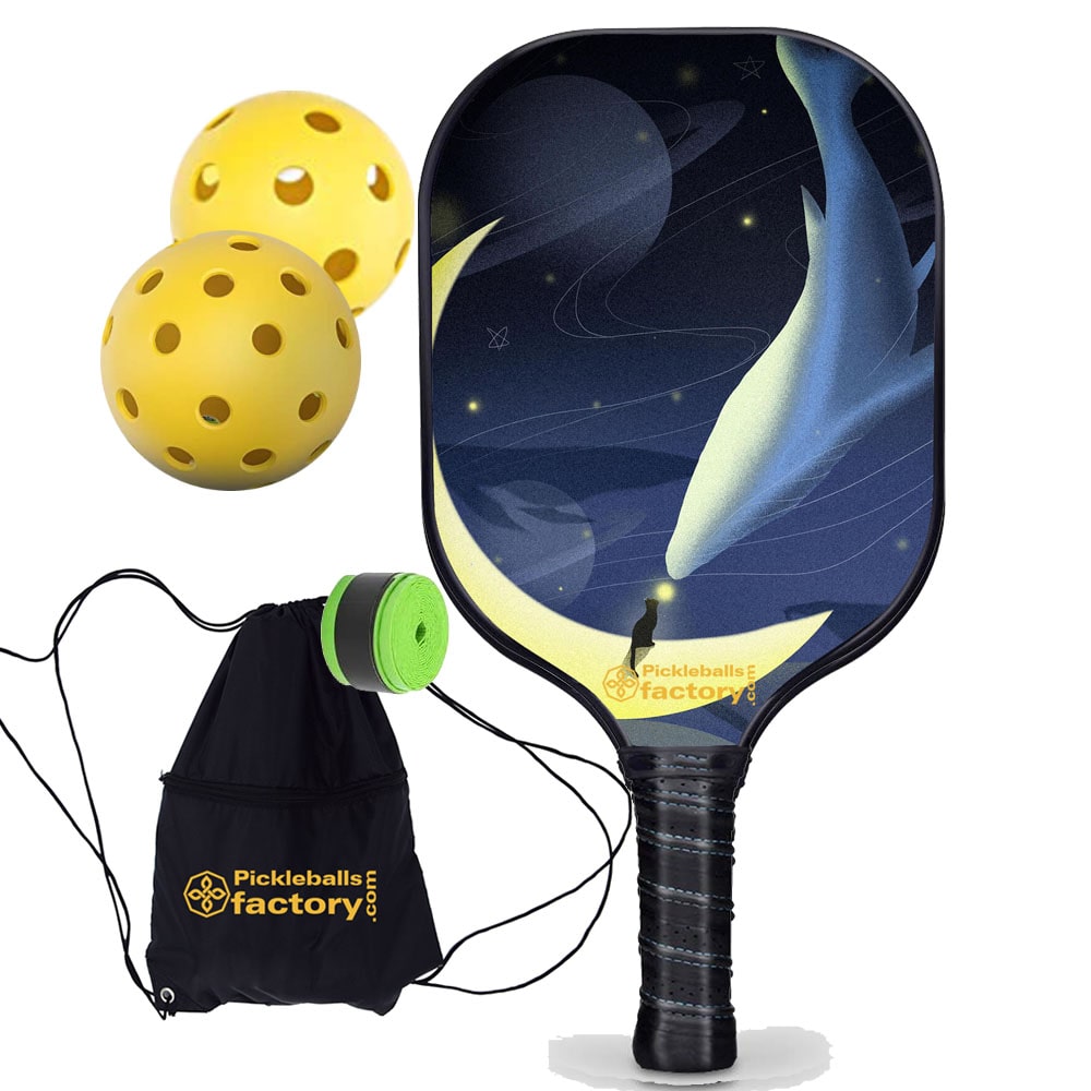 Best Pickleball Paddle - Whale Fall Pro Pickleball Paddles, Outdoor Pickle Balls Pickleball Connect, Glassfiber Graphite