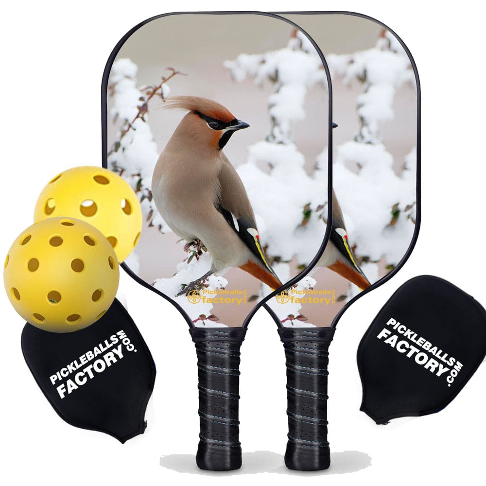 Pickleball Starter Set - Peace Bird Best Pickleball Paddle, Glassfiber Graphite