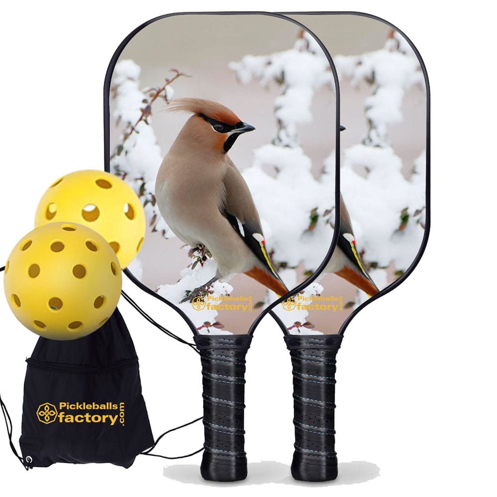 Pickleball Starter Set - Peace Bird Best Pickleball Paddle, Glassfiber Graphite