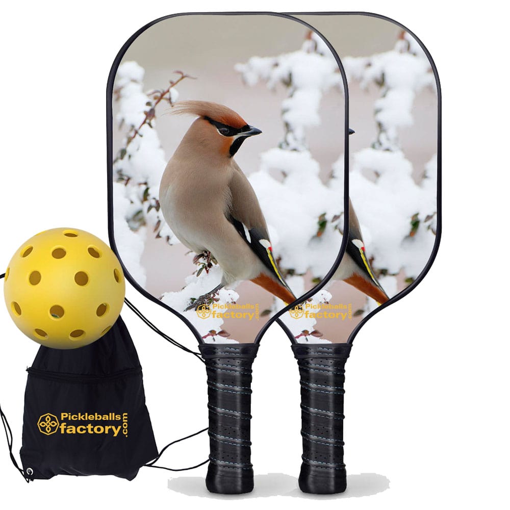 Pickleball Starter Set - Peace Bird Best Pickleball Paddle, Carbonfiber Graphite