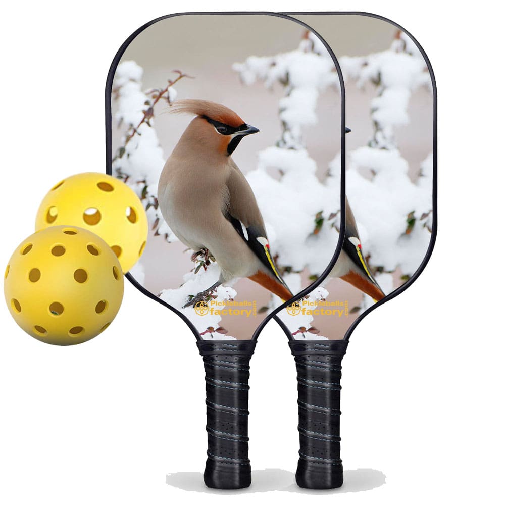 Pickleball Starter Set - Peace Bird Best Pickleball Paddle, Carbonfiber Graphite
