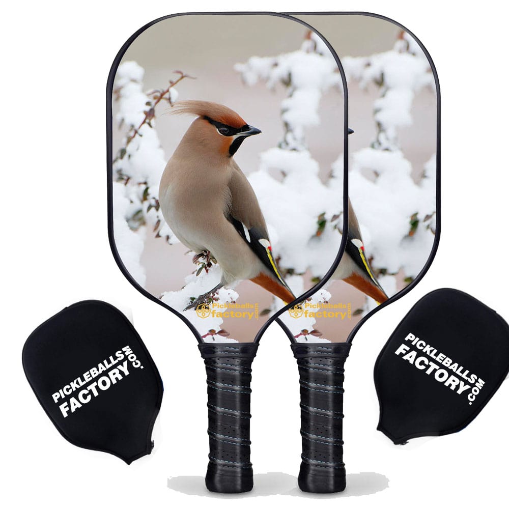 Pickleball Starter Set - Peace Bird Best Pickleball Paddle, Carbonfiber Graphite