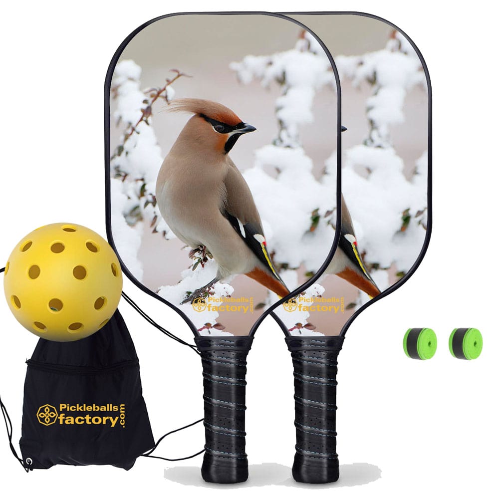 Pickleball Starter Set - Peace Bird Best Pickleball Paddle, Carbonfiber Graphite