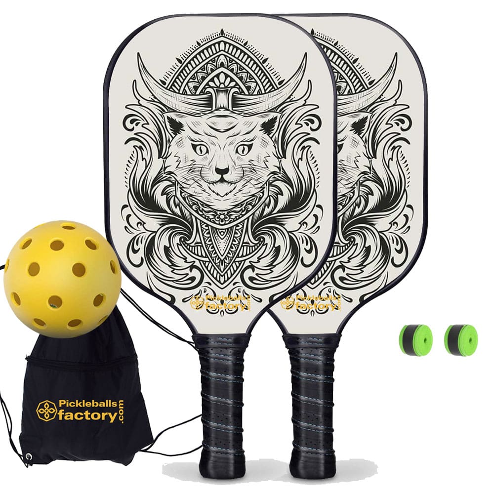 Pickleball Paddle Set - Egyptian Cat Level Up Pickleball Rackets, Pickleball Net Set, Glassfiber Graphite