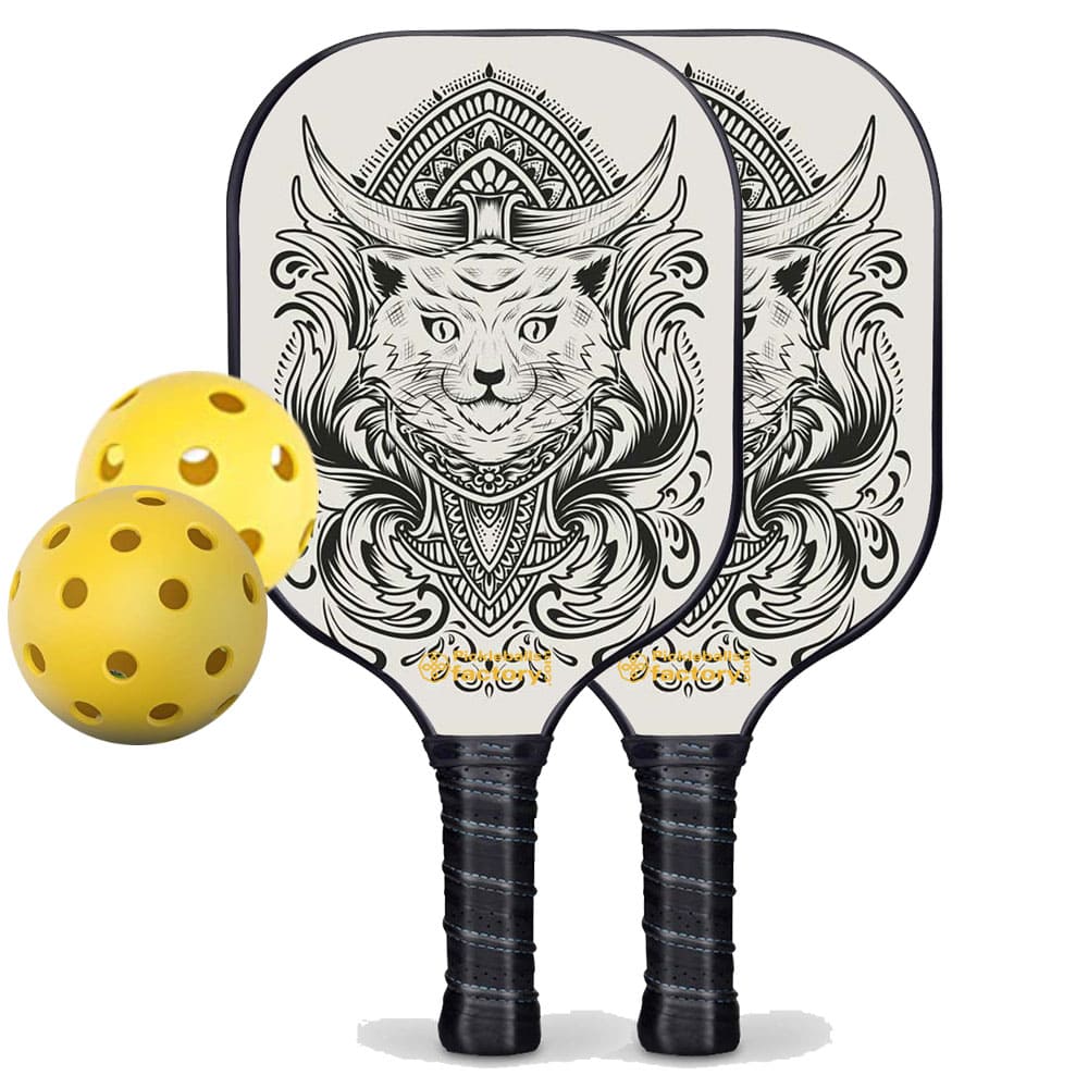 PB0003-2-C Pickleball Paddle Set - Egyptian Cat Level Up Pickleball Rackets, Pickleball Net Set, Carbonfiber Graphite