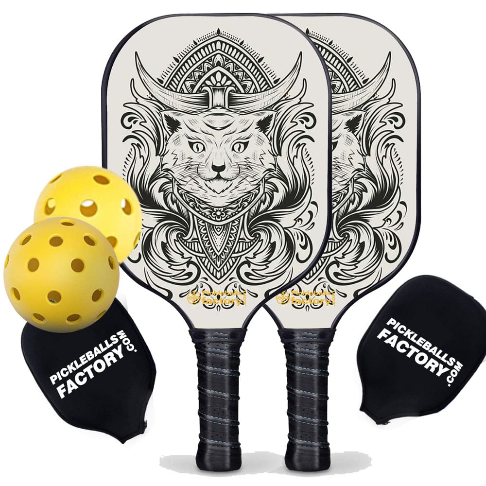 Pickleball Paddle Set - Egyptian Cat Level Up Pickleball Rackets, Pickleball Net Set, Carbonfiber Graphite
