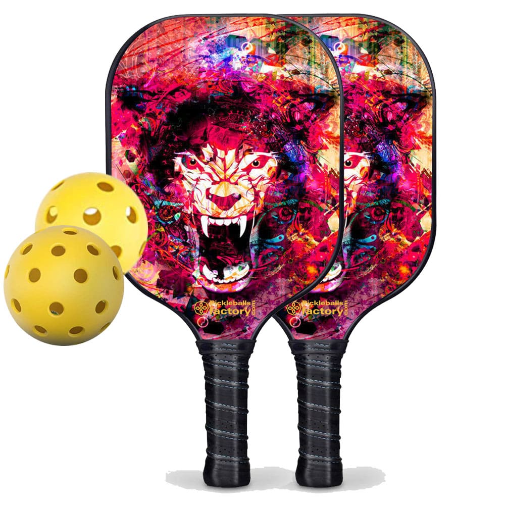 Best Pickleball Set - Pickleballtournament Paddle, Glassfiber Graphite